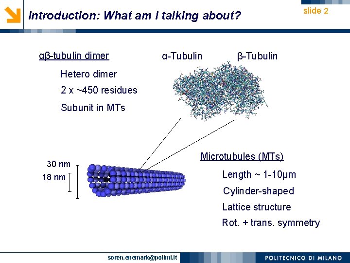 Introduction: What am I talking about? αβ-tubulin dimer α-Tubulin slide 2 β-Tubulin Hetero dimer