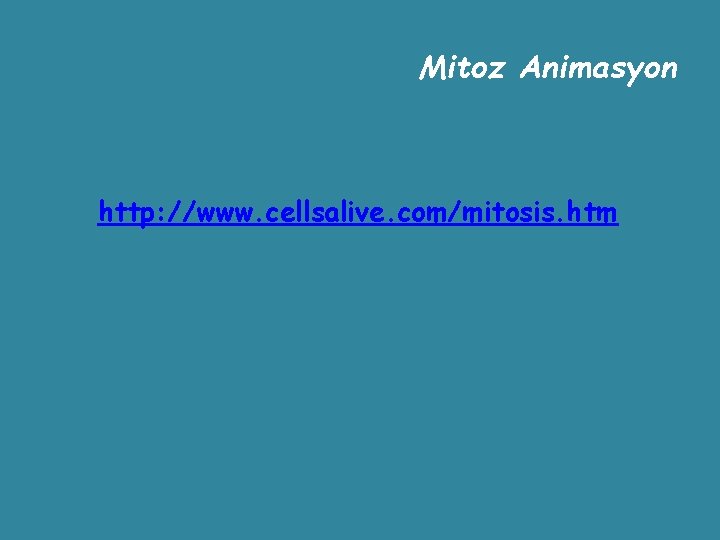Mitoz Animasyon http: //www. cellsalive. com/mitosis. htm 