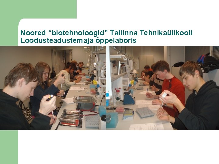 Noored “biotehnoloogid” Tallinna Tehnikaülikooli Loodusteadustemaja õppelaboris 