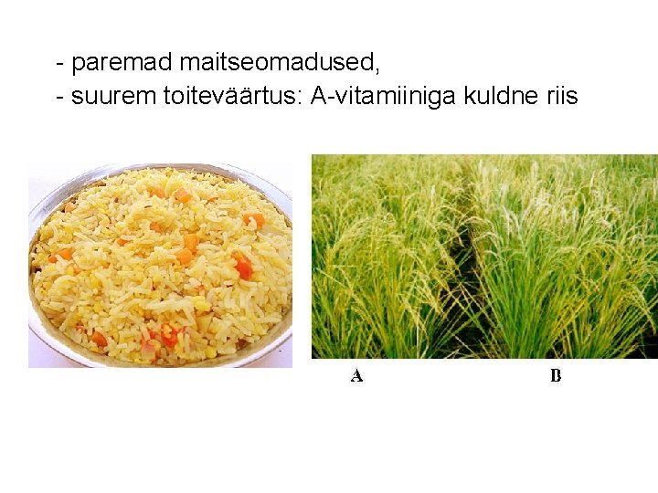 - paremad maitseomadused, - suurem toiteväärtus: A-vitamiiniga kuldne riis 