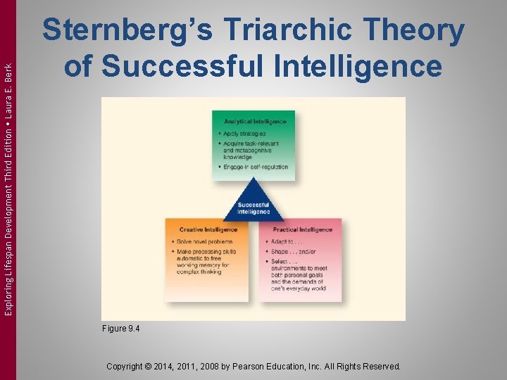 Exploring Lifespan Development Third Edition Laura E. Berk Sternberg’s Triarchic Theory of Successful Intelligence