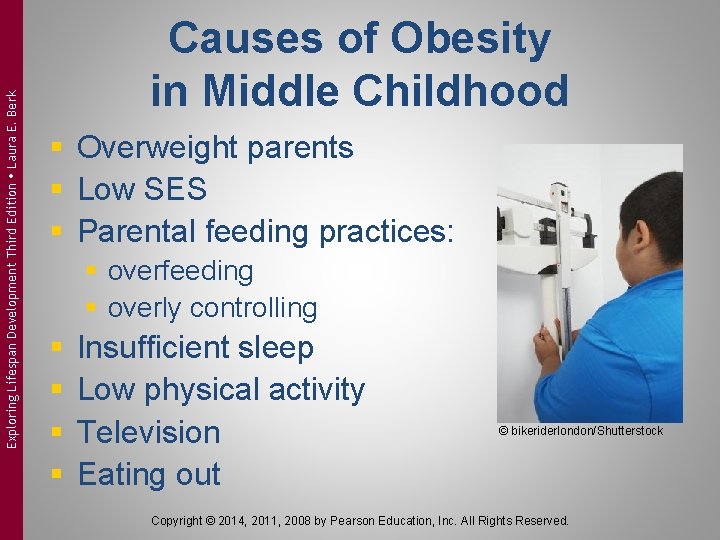 Exploring Lifespan Development Third Edition Laura E. Berk Causes of Obesity in Middle Childhood