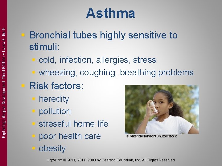 Exploring Lifespan Development Third Edition Laura E. Berk Asthma § Bronchial tubes highly sensitive