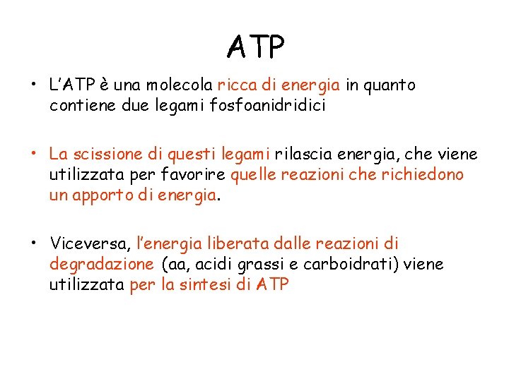 ATP • L’ATP è una molecola ricca di energia in quanto contiene due legami
