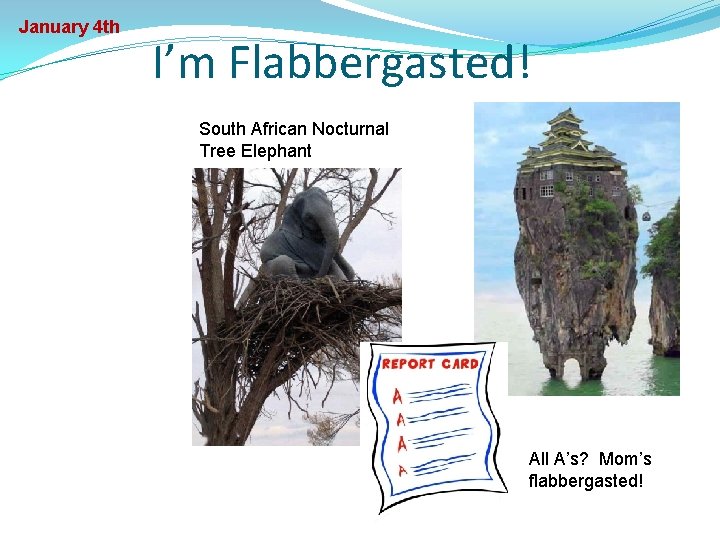 January 4 th I’m Flabbergasted! South African Nocturnal Tree Elephant All A’s? Mom’s flabbergasted!