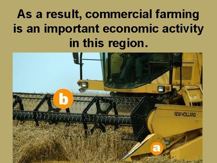 As a result, commercial farming is an important economic activity in this region. 