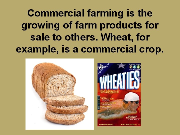 Commercial farming is the growing of farm products for sale to others. Wheat, for