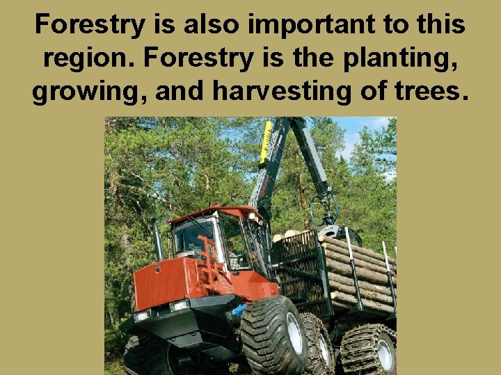 Forestry is also important to this region. Forestry is the planting, growing, and harvesting