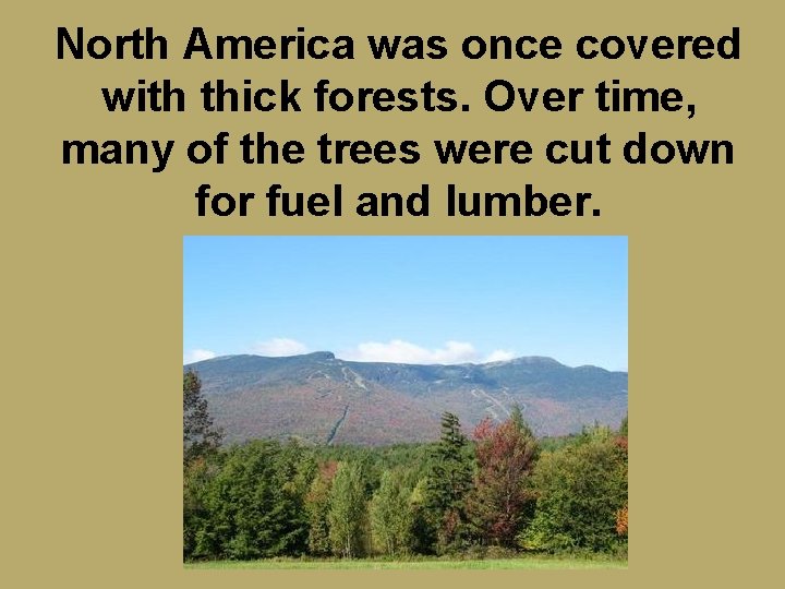North America was once covered with thick forests. Over time, many of the trees