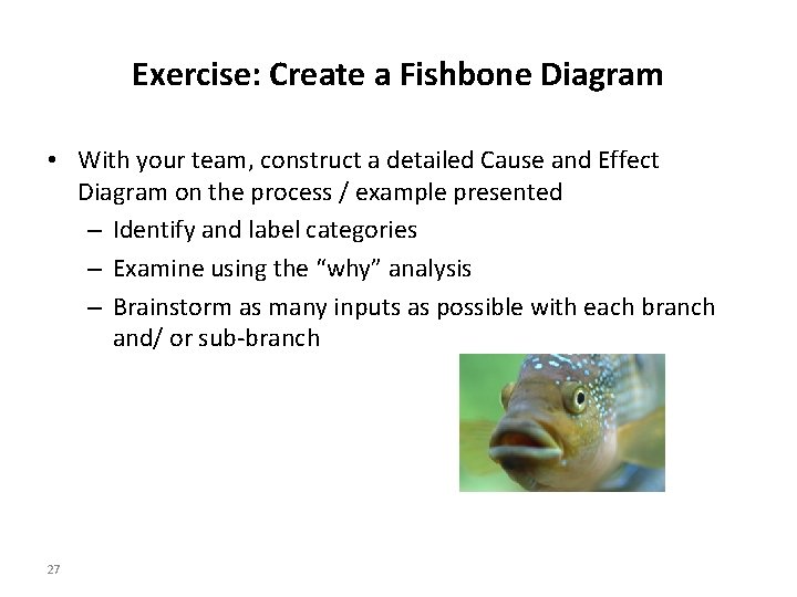 Exercise: Create a Fishbone Diagram • With your team, construct a detailed Cause and