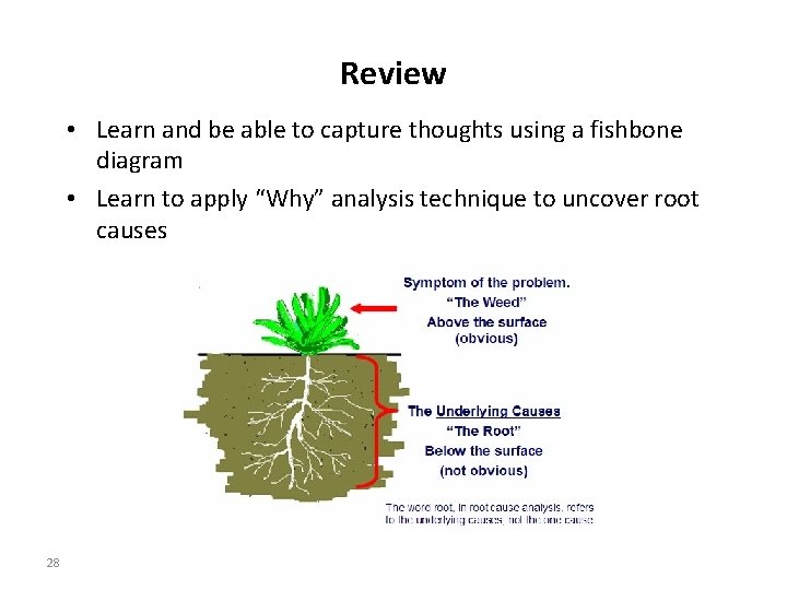 Review • Learn and be able to capture thoughts using a fishbone diagram •