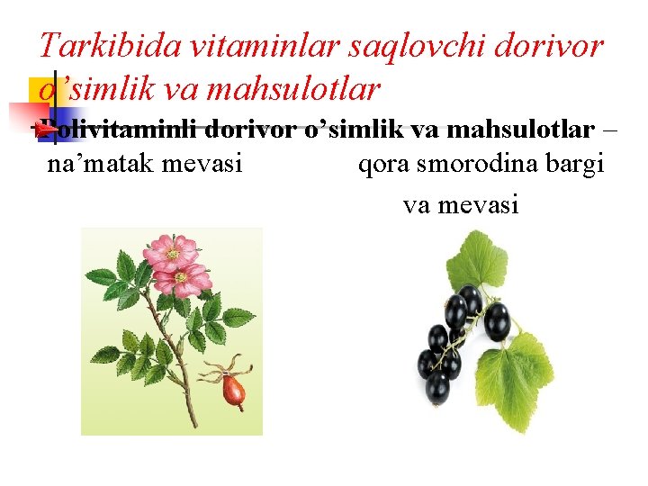 Tarkibida vitaminlar saqlovchi dorivor o’simlik va mahsulotlar Polivitaminli dorivor o’simlik va mahsulotlar – na’matak