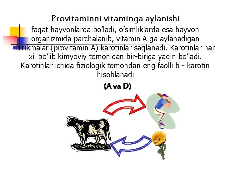 Provitaminni vitaminga aylanishi faqat hayvonlarda bo’ladi, o’simliklarda esa hayvon organizmida parchalanib, vitamin A ga