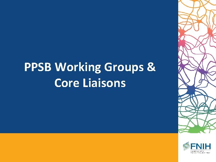 PPSB Working Groups & Core Liaisons 