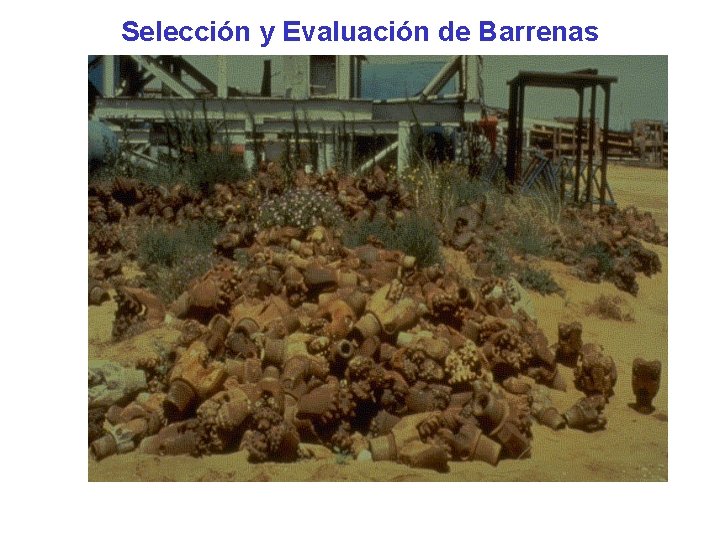 Selección y Evaluación de Barrenas 