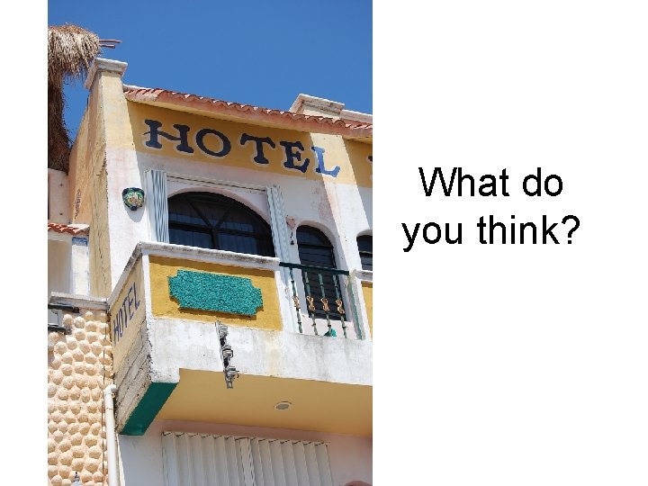 What do you think? What do you think?