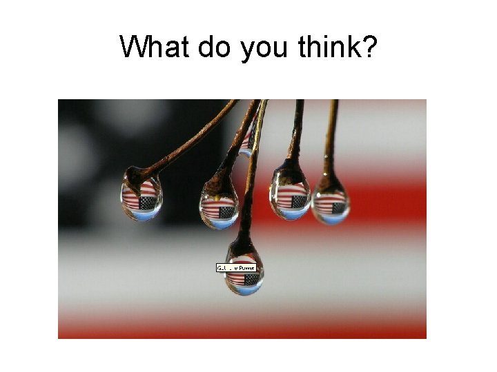 What do you think? What do you think?