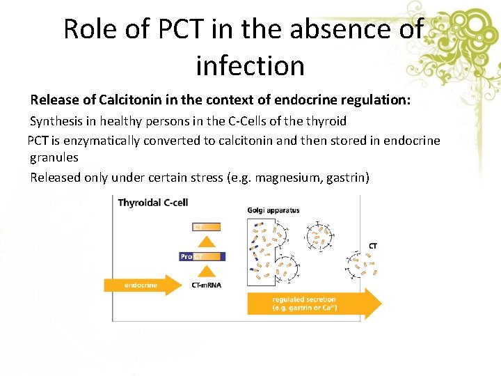 Role of PCT in the absence of infection Release of Calcitonin in the context