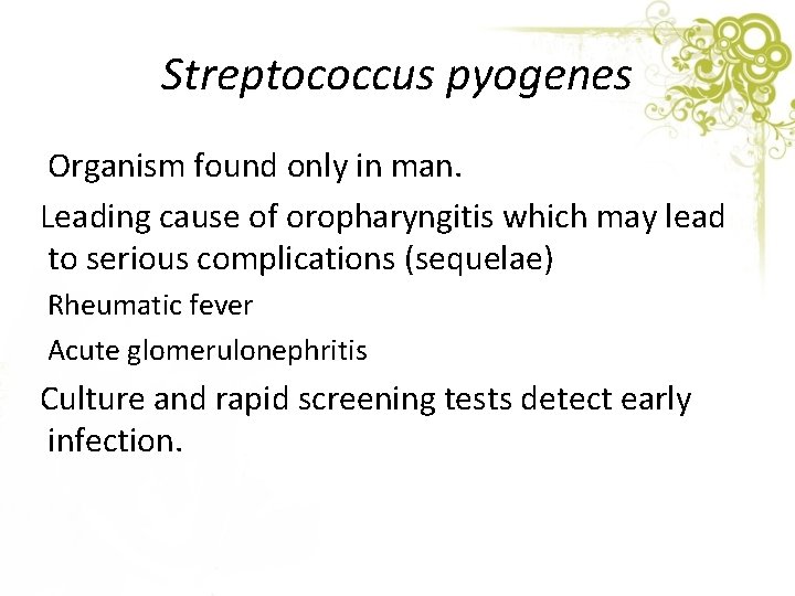 Streptococcus pyogenes Organism found only in man. Leading cause of oropharyngitis which may lead