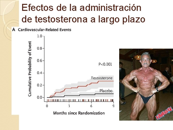 Efectos de la administración de testosterona a largo plazo 