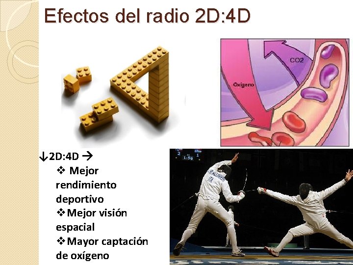 Efectos del radio 2 D: 4 D ↓ 2 D: 4 D v Mejor