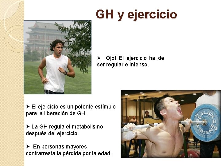 GH y ejercicio Ø ¡Ojo! El ejercicio ha de ser regular e intenso. Ø