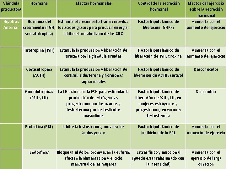 Glándula productora Hormona Efectos hormonales Hipófisis Hormona del Estimula el crecimiento tisular; moviliza Anterior