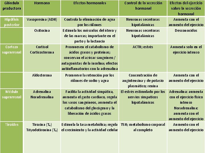 Glándula productora Hormona Efectos hormonales Control de la secreción hormonal Hipófisis posterior Vasopresina (ADH)