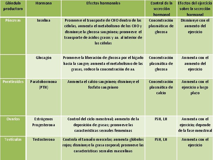 Glándula productora Hormona Efectos hormonales Control de la secreción hormonal Concentración plasmáticas de glucosa