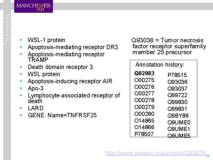  • WSL-1 protein Q 93038 = Tumor necrosis factor receptor superfamily • Apoptosis-mediating