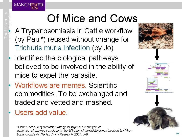 Of Mice and Cows • A Trypanosomiasis in Cattle workflow (by Paul*) reused without