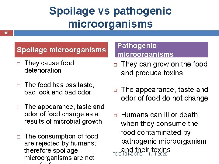 Spoilage vs pathogenic microorganisms 10 Spoilage microorganisms They cause food deterioration The food has