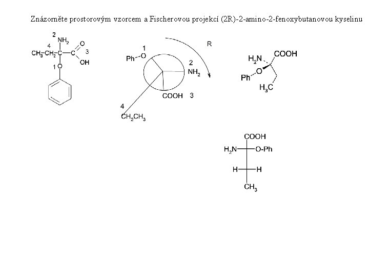 Znázorněte prostorovým vzorcem a Fischerovou projekcí (2 R)-2 -amino-2 -fenoxybutanovou kyselinu 