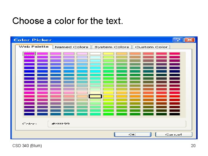 Choose a color for the text. CSD 340 (Blum) 20 