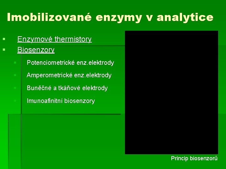 Imobilizované enzymy v analytice § § Enzymové thermistory Biosenzory § Potenciometrické enz. elektrody §