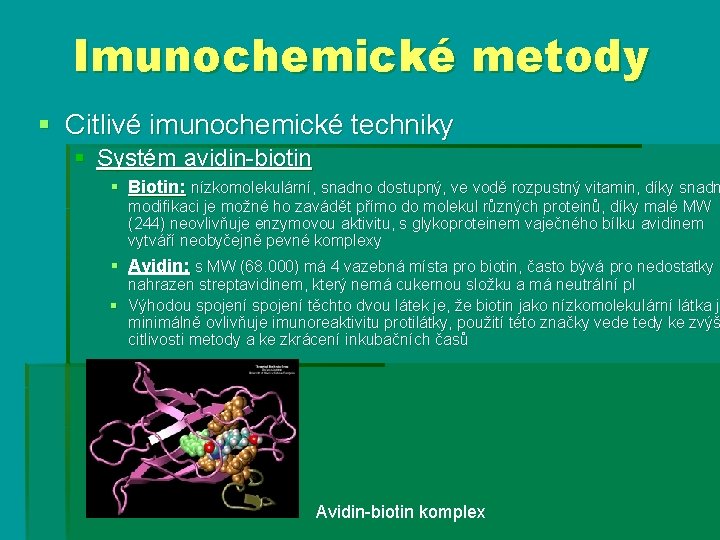 Imunochemické metody § Citlivé imunochemické techniky § Systém avidin-biotin § Biotin: nízkomolekulární, snadno dostupný,