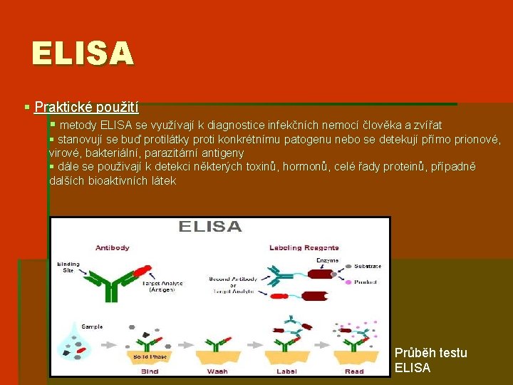 ELISA § Praktické použití § metody ELISA se využívají k diagnostice infekčních nemocí člověka