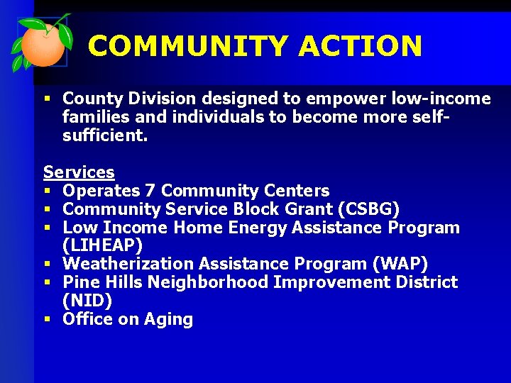 COMMUNITY ACTION § County Division designed to empower low-income families and individuals to become