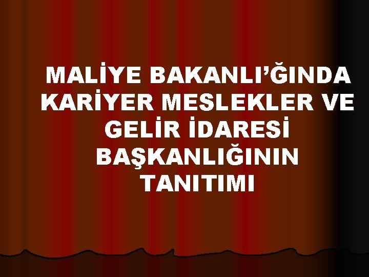 MALİYE BAKANLI’ĞINDA KARİYER MESLEKLER VE GELİR İDARESİ BAŞKANLIĞININ TANITIMI 