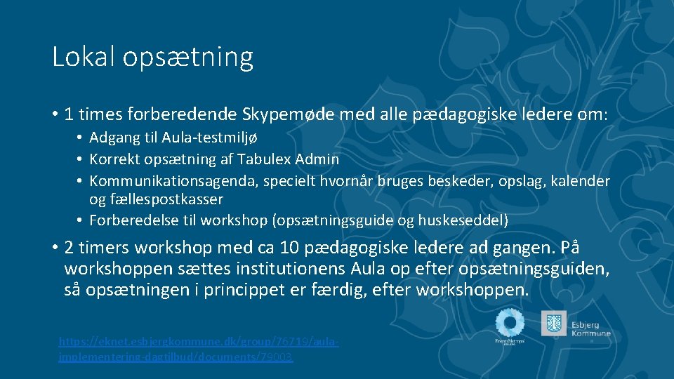 Lokal opsætning • 1 times forberedende Skypemøde med alle pædagogiske ledere om: • Adgang