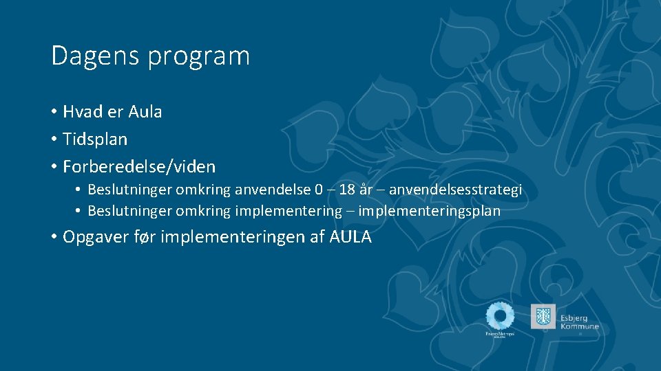 Dagens program • Hvad er Aula • Tidsplan • Forberedelse/viden • Beslutninger omkring anvendelse