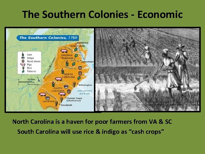 The Southern Colonies - Economic North Carolina is a haven for poor farmers from