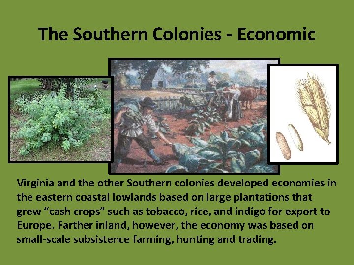 The Southern Colonies - Economic Virginia and the other Southern colonies developed economies in