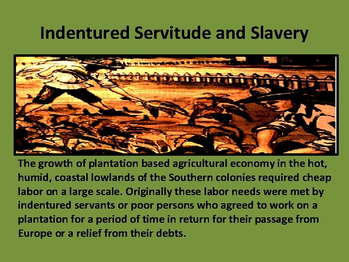 Indentured Servitude and Slavery The growth of plantation based agricultural economy in the hot,