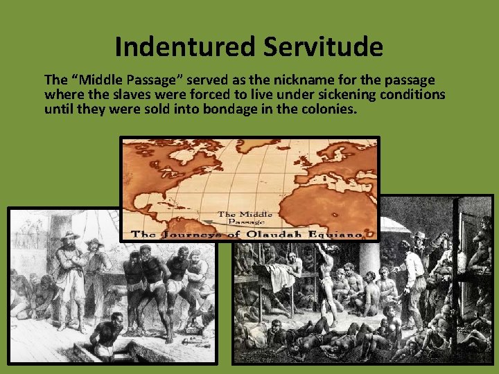 Indentured Servitude The “Middle Passage” served as the nickname for the passage where the