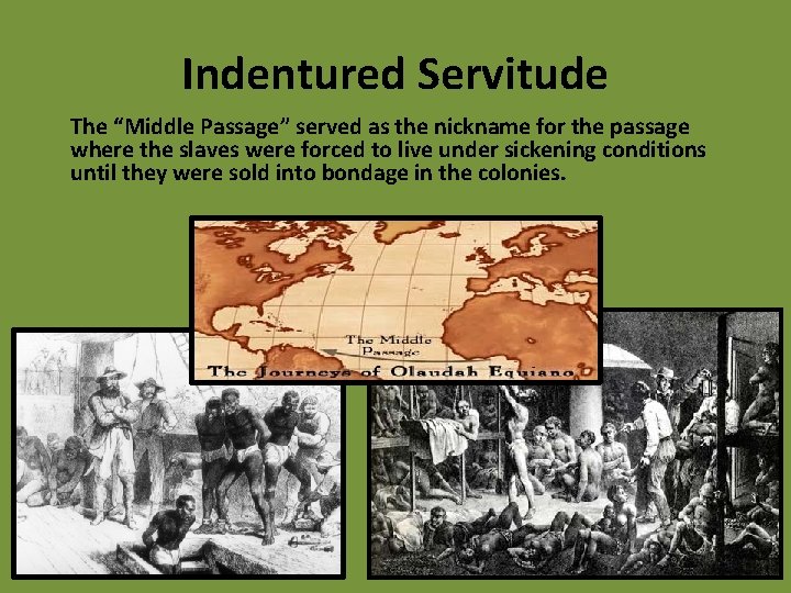 Indentured Servitude The “Middle Passage” served as the nickname for the passage where the