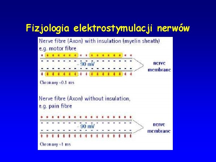 Fizjologia elektrostymulacji nerwów 