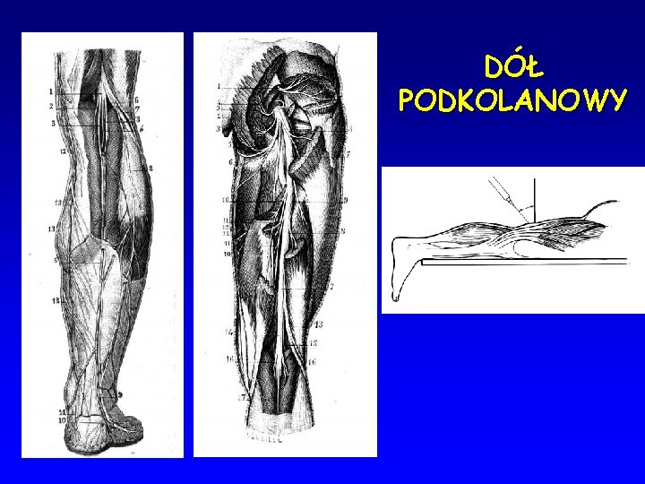 DÓŁ PODKOLANOWY 