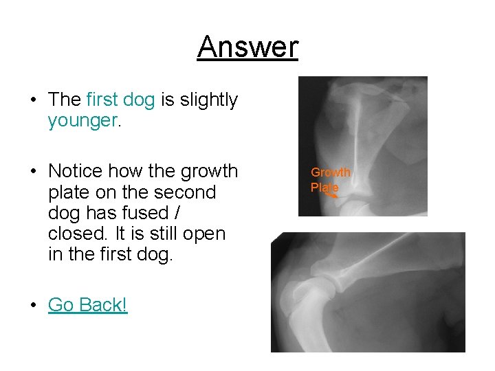 Answer • The first dog is slightly younger. • Notice how the growth plate