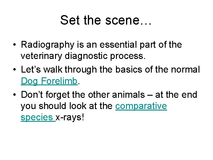 Set the scene… • Radiography is an essential part of the veterinary diagnostic process.